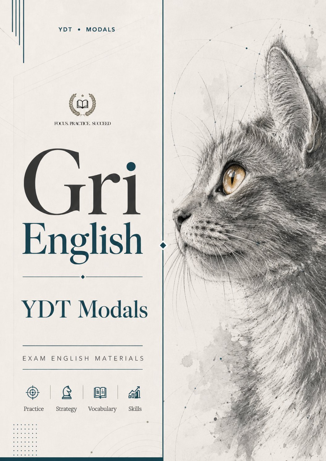 YDT Tenses